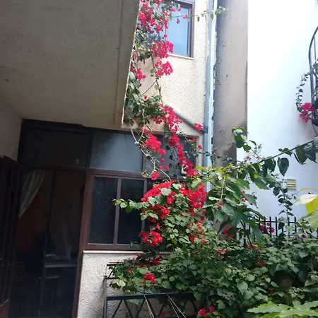 With Garden *