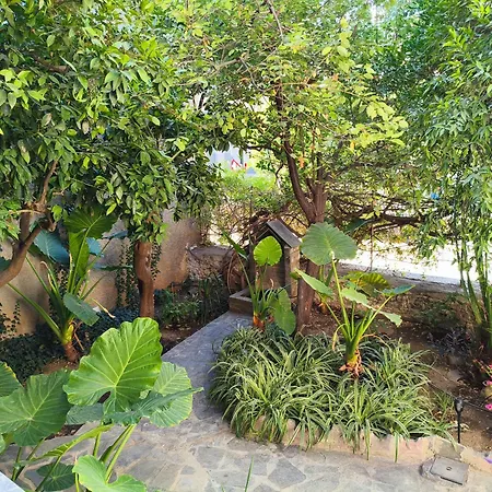 With Garden *
