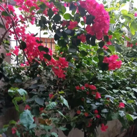 With Garden Apartament Amarynthos