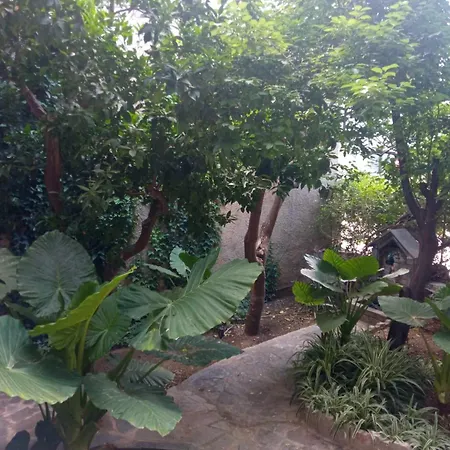 With Garden Αμάρυνθος