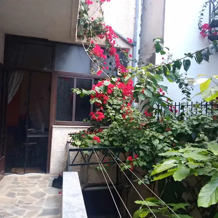 With Garden Διαμέρισμα *