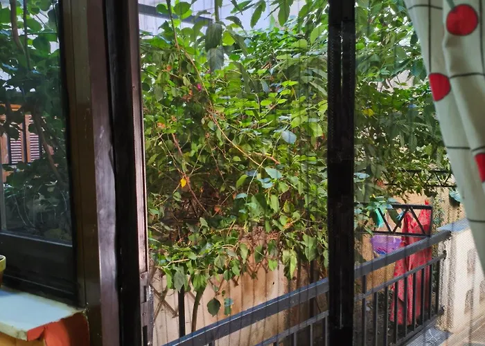 With Garden 阿马林索斯